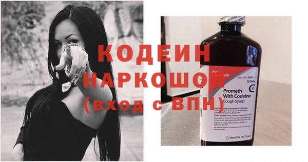 молекула духа Каменногорск