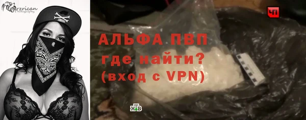 молекула духа Каменногорск