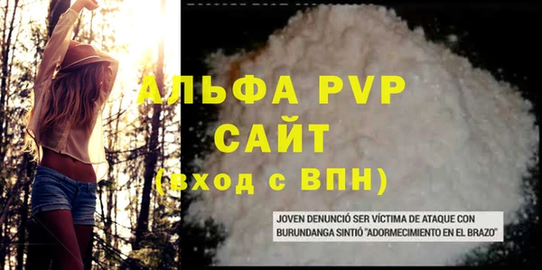 молекула духа Каменногорск
