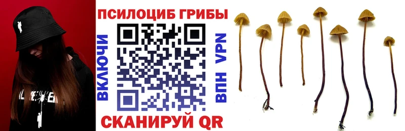 Галлюциногенные грибы ЛСД  Купить закладки  Емва 